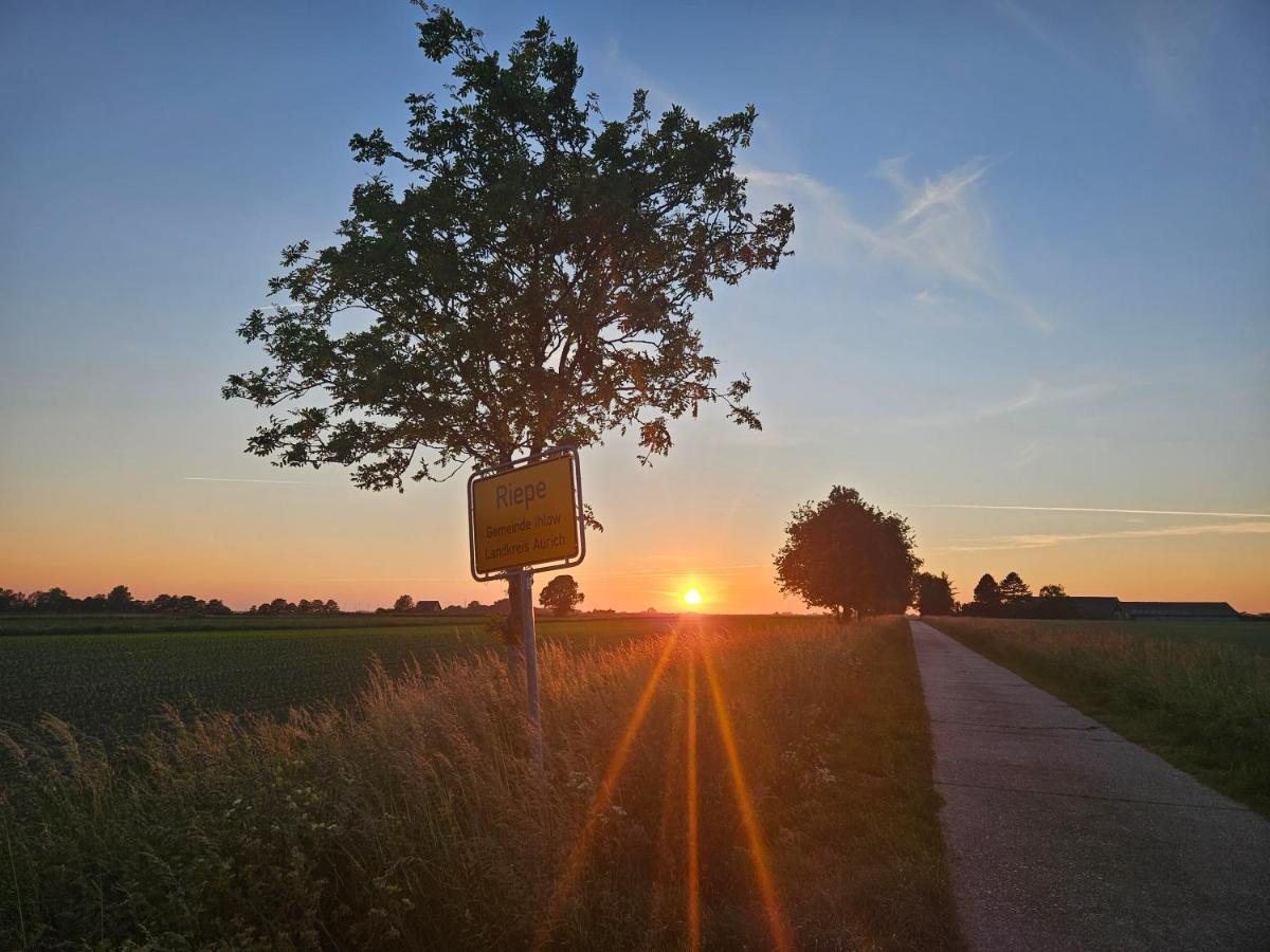 Ferienwohnung Birkenstrasse Ihlow  Zewnętrze zdjęcie